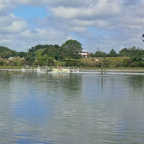 https://www.parklink.nz/wp-content/uploads/2024/08/parklink-eltham-pond-feature.jpg