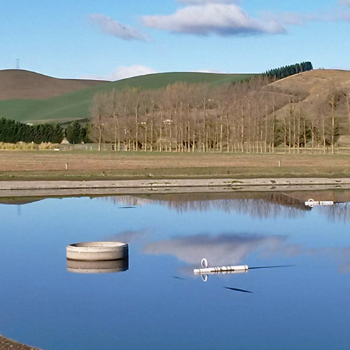 https://www.parklink.nz/wp-content/uploads/2024/08/parklink-waikari-ponds-feature.jpg